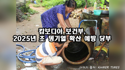 캄보디아 보건부, 2025년 초 뎅기열 확산 예방 당부