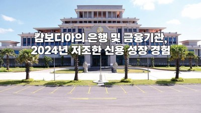 캄보디아의 은행 및 금융기관, 2024년 저조한 신용 성장 경험