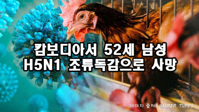 캄보디아서 52세 남성 H5N1 조류독감으로 사망