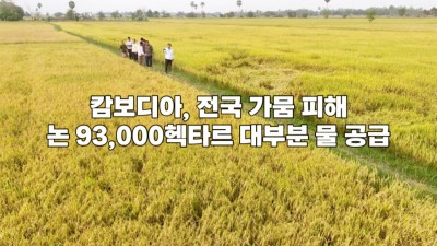 캄보디아, 전국 가뭄 피해 논 93,000헥타르 대부분 물 공급